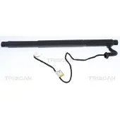 TRISCAN 8710 11302 Gasveer achterklep