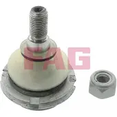 Fag 825 0255 10 Fuseekogel
