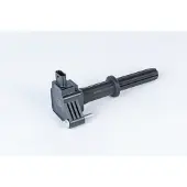 Borg Warner Bobine (BERU) ZSE 234