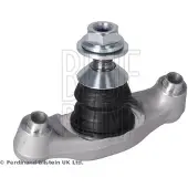 Blue Print ADBP860254 Fuseekogel