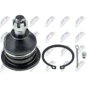NTY Fuseekogel ZSD-MS-036