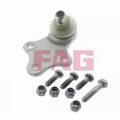 Fag Fuseekogel 825 0189 10