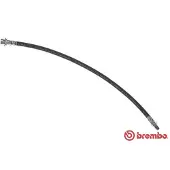 Brembo Remslang T 24 098
