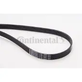 CONTITECH Multiriem 6PK2404 Contitech voor o.a. AUDI, CHEVROLET, JEEP, MERCEDES-BENZ, OPEL, SKODA, VOLKSWAGEN