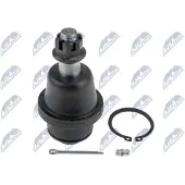 NTY Fuseekogel ZSD-CH-037