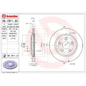 Brembo Remschijf 09.7911.21