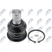 NTY ZST-NS-000 Fuseekogel