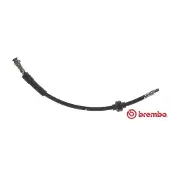 Brembo Remslang T 23 186