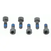 SACHS Schroevenset vliegwiel 1874 000 041