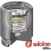 AUTOFREN SEINSA Zuiger, remklauw D025258K, achter