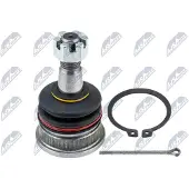 NTY Fuseekogel ZSG-TY-006