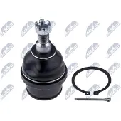 NTY ZST-TY-002 Fuseekogel