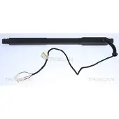 TRISCAN 8710 11304 Gasveer achterklep