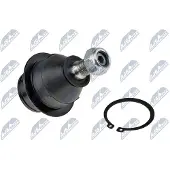 NTY Fuseekogel ZSD-FR-006