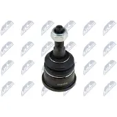 NTY Fuseekogel ZSD-CH-006