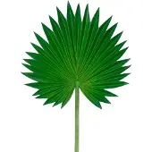 Easyplants | Kunstblad Washingtonia 73cm | Zijde | Nepbloemen | groen | Onderhoudsvrij | Kant-en-klaar
