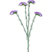 Easyplants | Kunsttak Statice 64 cm paars | Zijde | Nepbloemen | paars | Onderhoudsvrij | Kant-en-klaar