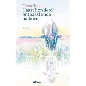 Palmslag Haast honderd onthaastende haikoes
