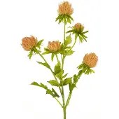 Easyplants | Kunstbloem Distel 66 cm perzik | Zijde | Nepbloemen | perzik | Onderhoudsvrij | Kant-en-klaar