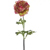 Easyplants | Kunstbloem Ranunculus 51 cm roze/groen | Zijde | Nepbloemen | groen | Onderhoudsvrij | Kant-en-klaar