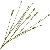 Silk-ka Kunstbloem Pimpernel Groen H 84 Cm