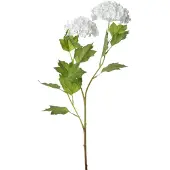 Intratuin Kunstbloem Gelderse Roos Wit H 66 Cm