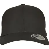 Flexfit Pet zwart