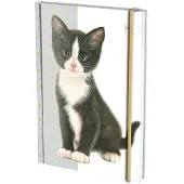 Bekking & Blitz Notitieboek A5, harde kaft: Franciens Kittens, Francien van Westering