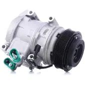 RIDEX 447K0171 Aircopomp