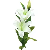 Viana Paaslelie wit 86cm