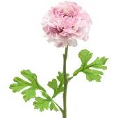 Viana Ranunculus lila H45cm
