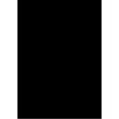 Folia - Fotokarton Folia 2zijdig 50x70cm 300gr nr90 zwart | 10 stuks
