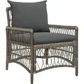 vidaXL Tuinstoel Grijs poly rattan
