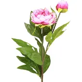 Viana Pioenrozen Kunstbloemen met lange steel Roze 70cm 3st