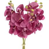 Viana Kunstorchideeën paarse kunstbloemen zoals echt 56cm 3 st, 3 Stück