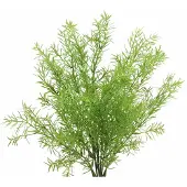 Viana Asperges decoratieve asperges kunstgroen 46cm