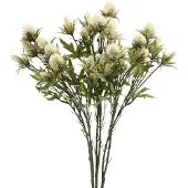 Viana Distel kunsttak creme 10 bloemhoofdjes 68cm 3st, 3 Stück