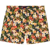 Hom Zwemshorts ' Beach Boxer Etna ' beige / groen / oranje