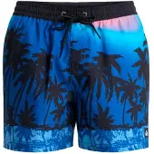 Quiksilver - Everyday Printed Volley 15'' - Zwembroek XXL, blauw