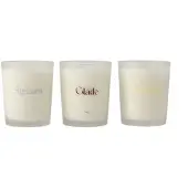 Scandi Living Cadeauverpakking geurkaars 70g 3-pack Stream/Glade/Meadow