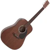 Martin D-19 190th Anniversary #M2797909