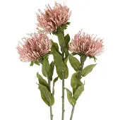 Viana Herfstbloem speldenkussen kunst Protea Rosa Leucospermum 73cm 3st