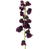 Viana Levensechte replica van Fritilaria voor elegante bloemstukken en boeke