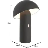 Lumisky Tod Black Bureau Lamp - Stijlvolle Buitenverlichting Oplossing