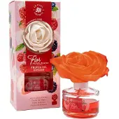 La Casa de los Aromas Luchtverfrisser Bosvruchten 65 ml