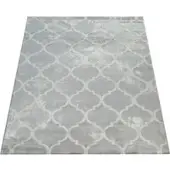 Tapis.fr Tapijt Victoria grijs 120x170 cm