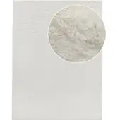 Tapis.fr Vachtkleed Fluffy crème 200x290 cm