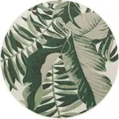 Tapis.fr Binnen- en buitenkleed Ostenza groen 120 cm rond