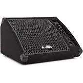 SubZero 200W 10" Active Floor Monitor