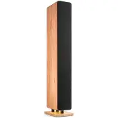 Audizio Arco HiFi speaker met DAB radio - Vloerstaande speaker met 4